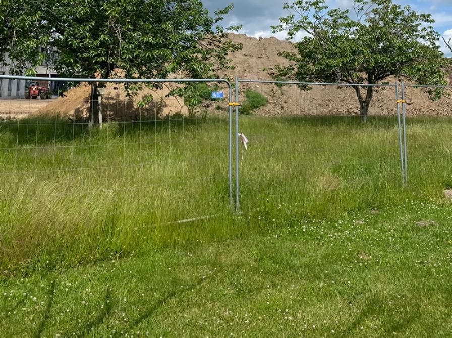 Fra Willy Sørensens Plads