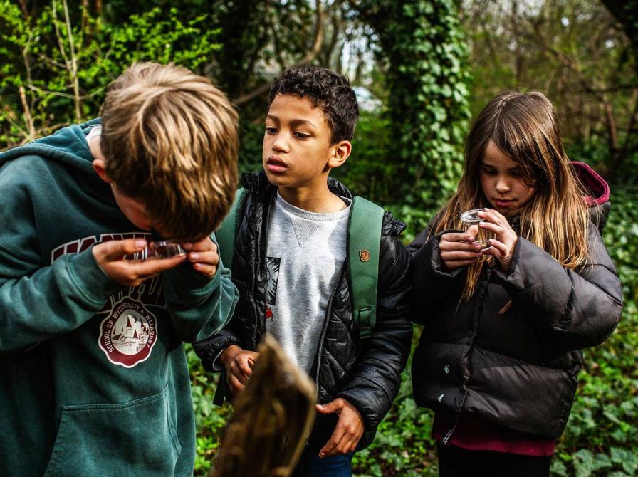 Børn i skoven. Foto: Naturens Uge